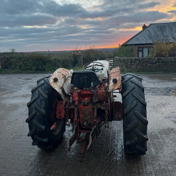David Brown 885 Diesel Vineyard Tractor
