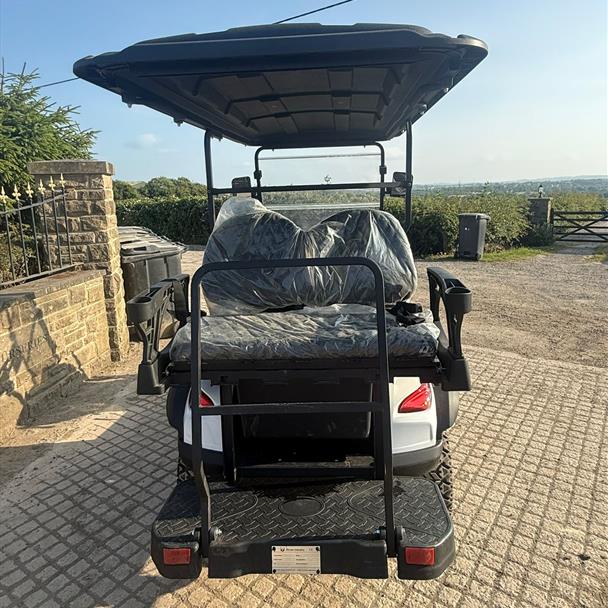 New/Unused Raccoon RC-G4.0 Electric Golf Buggy