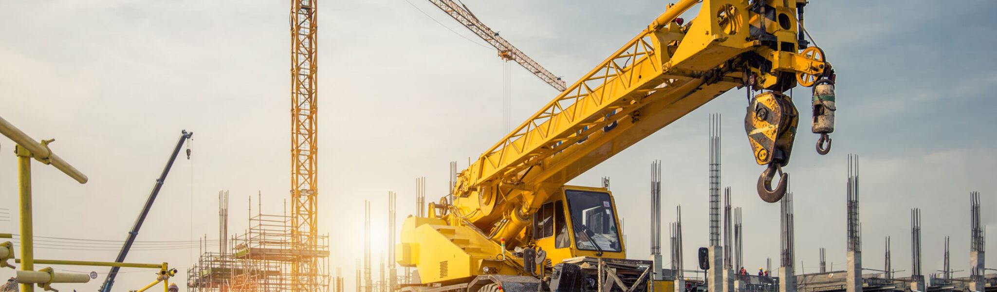 https://www.bazplantsales.co.uk/wp-content/uploads/2026/04/crane-image.jpg