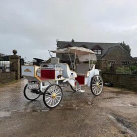 NEW/UNUSED 2025 CAPTOK MCE ELECTRIC SELF DRIVE WEDDING EVENT CARRIAGE