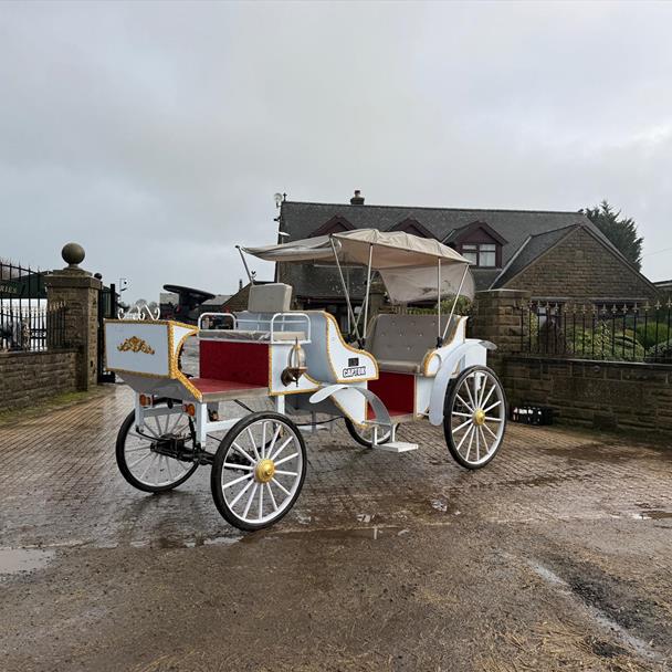 NEW/UNUSED 2025 CAPTOK MCE ELECTRIC SELF DRIVE WEDDING EVENT CARRIAGE